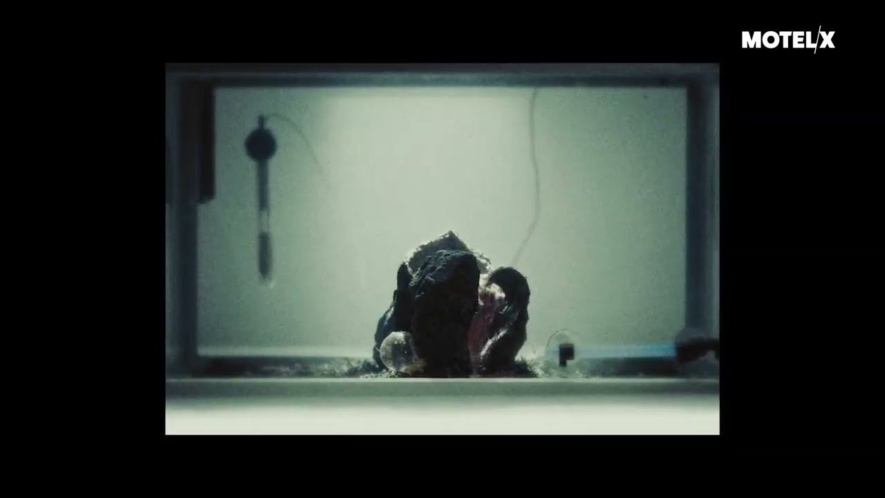 From.Beyond (2022) |  Trailer