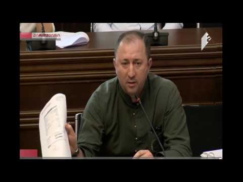 გამოსვლა პარლამენტში