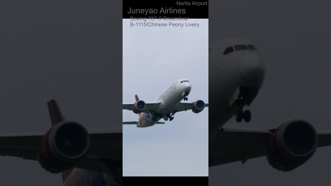 ピオニー セット B789 Juneyao Airlines ボーイング787 Chinese Peony Livery 吉祥航空