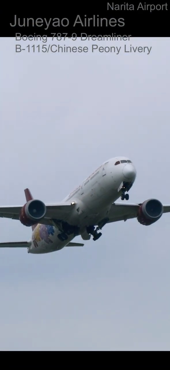 ピオニー セット B789 Juneyao Airlines ボーイング787 Chinese Peony Livery 吉祥航空