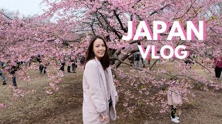 JAPAN VLOG  Cherry Blossoms + Favorite Restaurants || Andi Manzano Reyes