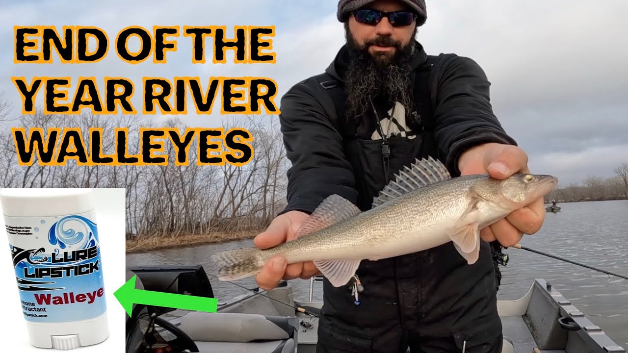 GETTING FINICKY RIVER WALLEYES TO BITE USING SCENT!! #walleye