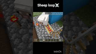 Minecraft Me Unlimited Sheep Roller Coaster! 🐑🎢