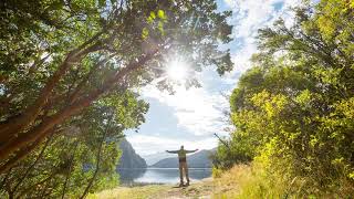 Headache Relief Sound Healing Remedy 💛 #meditation #relaxing #spiritual #selflove #528hz