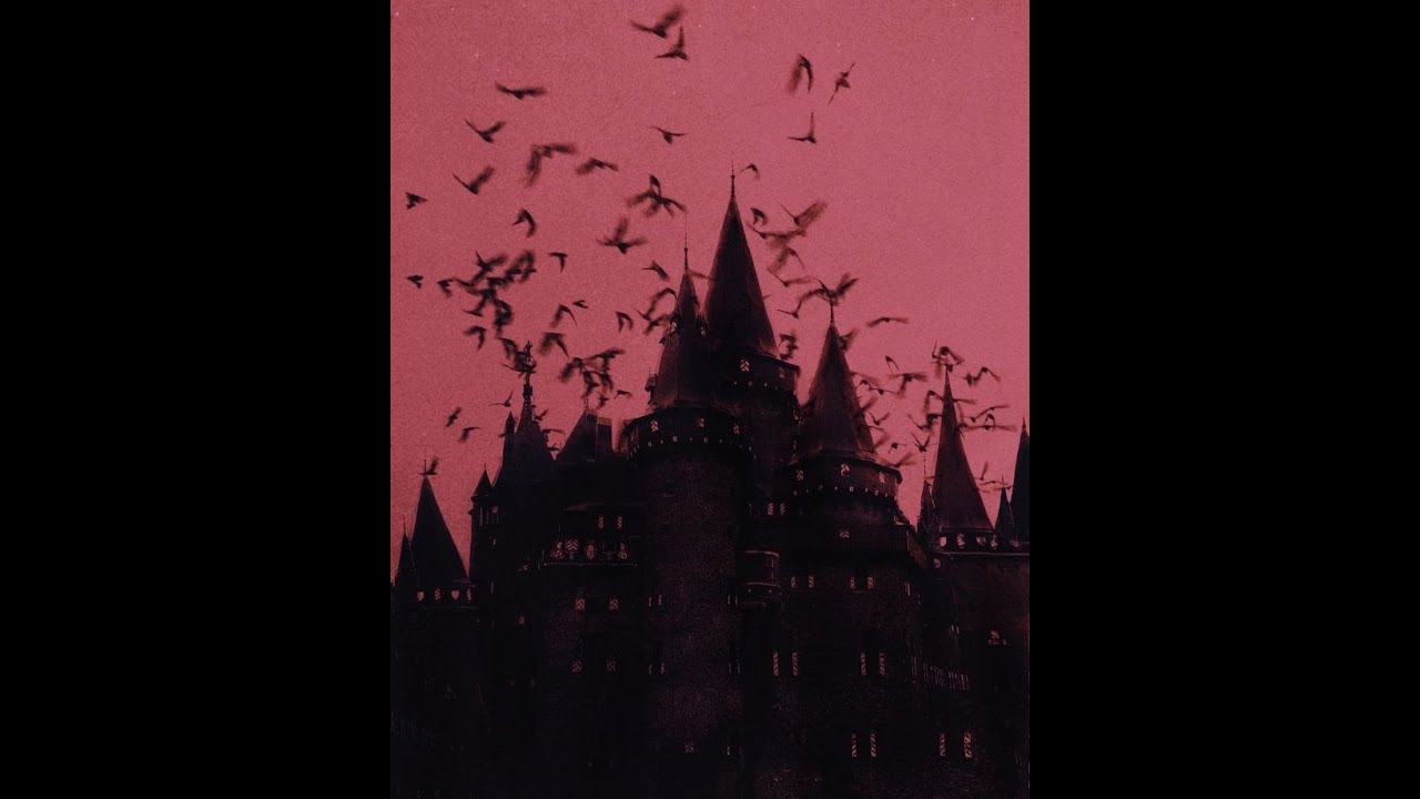 Counter Strike: нерегающая помойка [2]