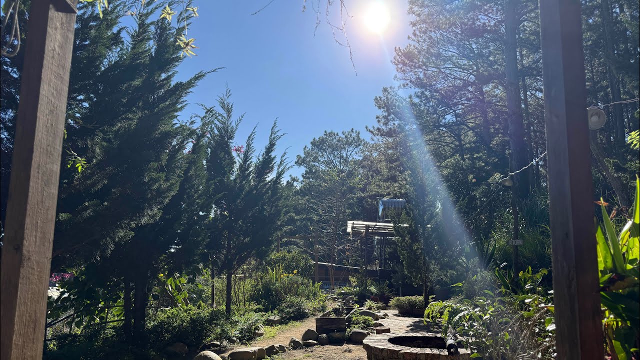 Ai đang đến trong tháng 1| Chọn tụ