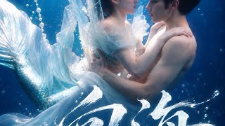 音乐微电影《向海》人鱼应该回到大海，可爱上一个人，我该怎么游回去！#歌曲 #mv 