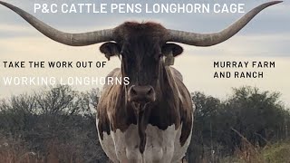 Working Longhorn Calves with P&C Cattle Pens Longhorn Cage