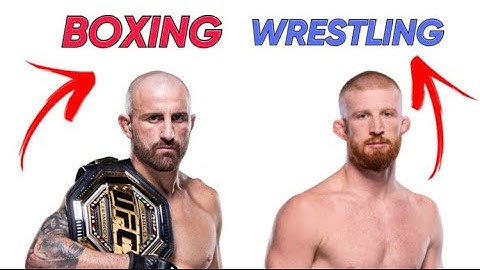 Best Fighter For Each Martial Art In The UFC