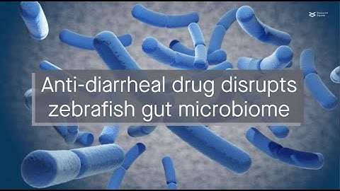 Anti-diarrheal drug loperamide disrupts the zebrafish gut microbiome by inhibiting certain bacteria