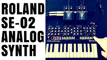 Roland SE-02 (Analog Synthesizer)