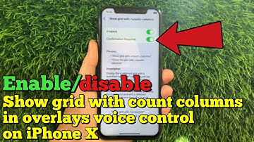 How to enable/disable show grid with count columns in overlays voice control on iPhone X