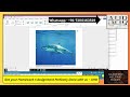 Pearson MyLab IT Word 1A Simulation Exam | MyLabMastering