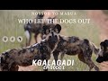 KGALAGADI | NOSSOB TO MABUA | WHO LET THE WILD DOGS OUT | Episode 1