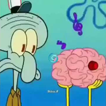 STATUS WA 30 DETIK | SPONGEBOB DANCE