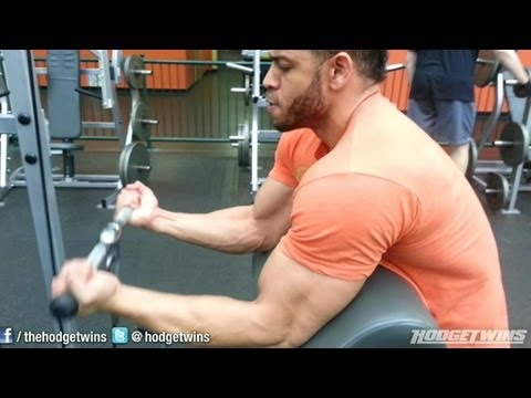 How To Build Arm Muscle In A Month How To Build Arm Muscle In A Month