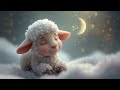 Capture de la vidéo Det Lille Lam - En Beroligende Godnatsang For Børn 🐑🌙✨
