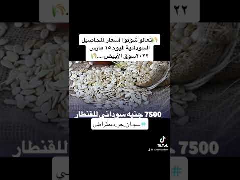 أسعار المحاصيل السودانية اليوم في أقل من دقيقه سمسم و فول سوداني و حب بطيخ الخ من سودان حر ديمقراطي