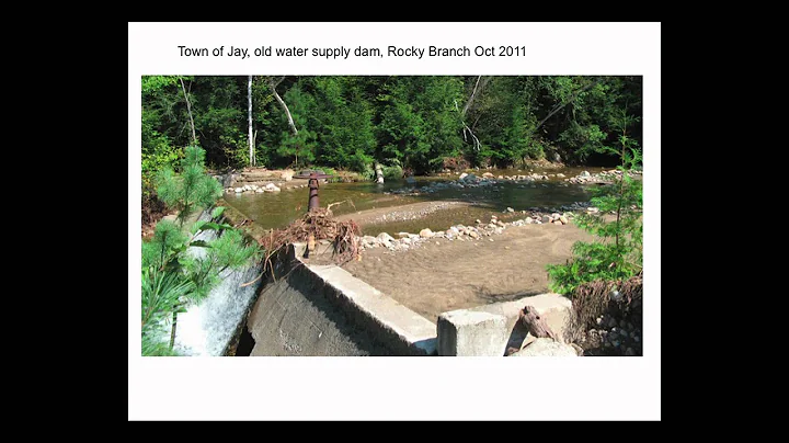 Dr. Timothy Mihuc: Rivers and Flow Events - Lesson...