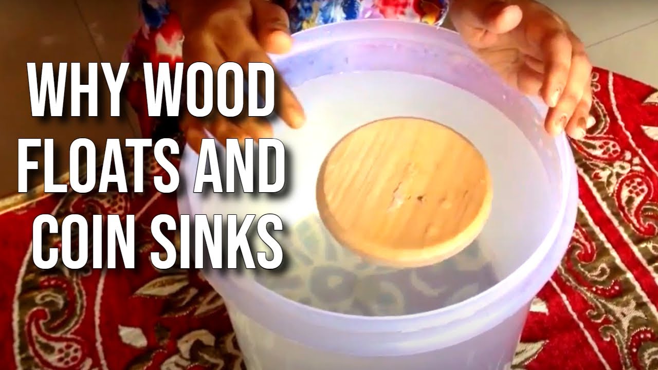 Why Wood Floats and coin sinks ? | Density of different bodies Science ...