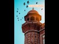 ببابك لن أغادره محمد المهدي 