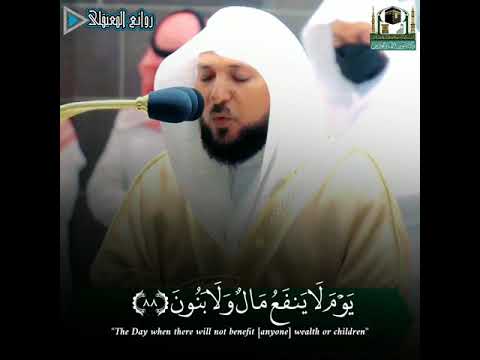 ولاتخزني يوم يبعثون ترتيل كردي بديع من سورة الشعراء لفضيلة الشيخ ماهر المعيقلي روائع المعيقلي