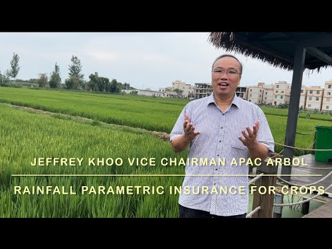 Rainfall Parametric Crop Insurance - YouTube