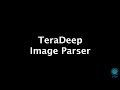 TeraDeep Image Parser