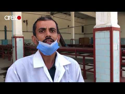 افزایش حاصلات زیتون در ولایت ننگرهار