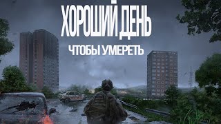 Атмосферное выживание в одиночку DayZ