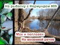 Мах и поплавок на весенней речке: На рыбалку с Нормундом #89