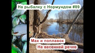 Мах и поплавок на весенней речке: На рыбалку с Нормундом #89