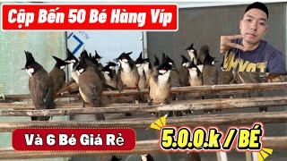 Download Lagu 21-11. MỚI VỀ 50 BỔI VÍP CHIA SẺ TỚI AE. PHÍ 5.0.0./ BÉ. BỘ KHỦNG LONG TUYỂN CHỌN CHIM NÚI ĐÁ MP3