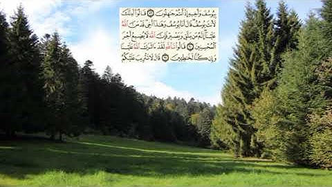صفحة-246- page سعد الغامدي - -سورة يوسف -Joseph (Yusuf)12