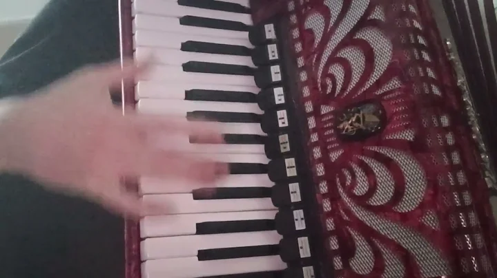 Paddy And The Rats - United We Stand (Accordion cover)