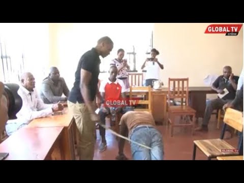 Video: Viboko huwaathirije mbwa?