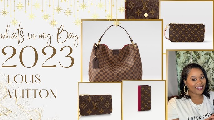 LV Graceful MM Insert, Louis Vuitton Handbag Essential