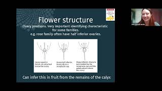 Wildflower ID for beginners with Fern Carroll-Smith from the National Wildflower Centre