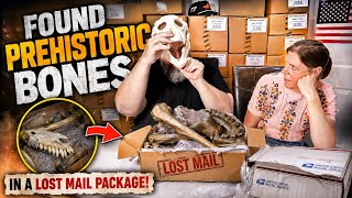 Ancient Dinosaur Bones found in Lost Mail Packages