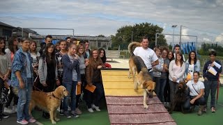 Visite élevage canin 1ère bac pro canin MFR Secondigny