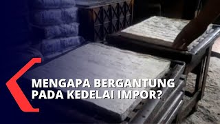 Harga Tahu Tempe Naik Dampak Tingginya Harga Kedelai Impor, INDEF: Genjot Produksi Kedelai Lokal