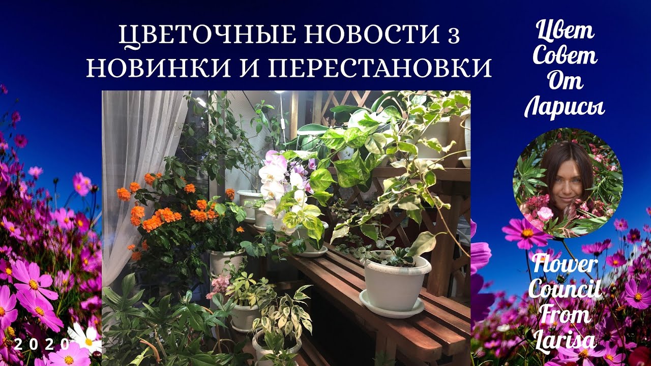 Цветочные советы от елены