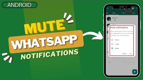 How to Mute WhatsApp Notifications: Quick and Easy Guide