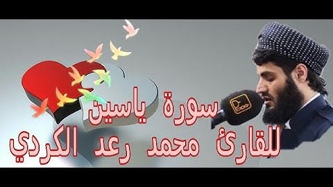 سورة ياسين (يس) كاملة للقارئ رعد محمد الكردي راحة لا توصف  بدون اعلانات 🥰🥰
