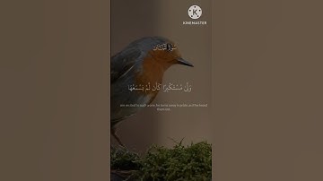 أكتب شيء تؤجر عليه 💖😴|سورة لقمان آيت ٧|Surah al quran with RNHdeen97
