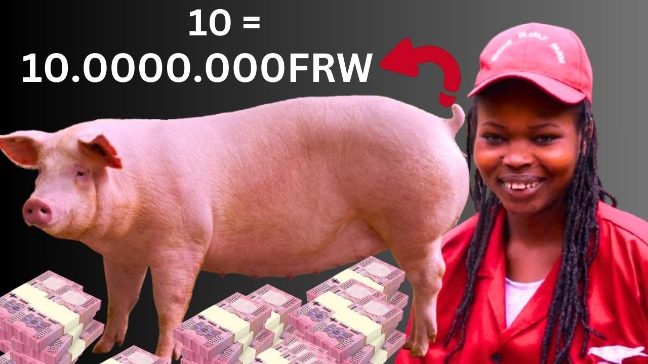 UNGURUBE 1 IGURA MILIYONI! UBU BWOROZI BWARAMPIRIYE CYANE, NYAMUNEKA NAWE NGWINO TWITEZE IMBERE!