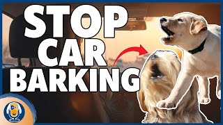 Why Do Dogs Bark In Cars And How To Stop It #165 #podcast