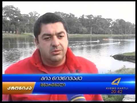 ორი ოქრო და შვიდი ვერცხლი  20 10 15