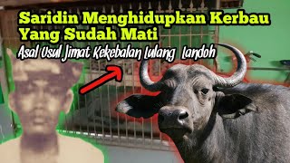 Karomah Syekh Jangkung/Saridin Menghidupkan Kerbau Yang Mati dan  Jimat Kekebalan Lulang Kebo Landoh