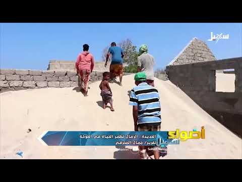 الحديدة: قرية الجشة تغرق بالرمال... أهالي يناشدون بالنجدة